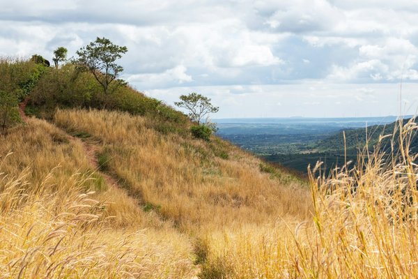Matériaux écologiques et naturels : révolutionnez votre rénovation
